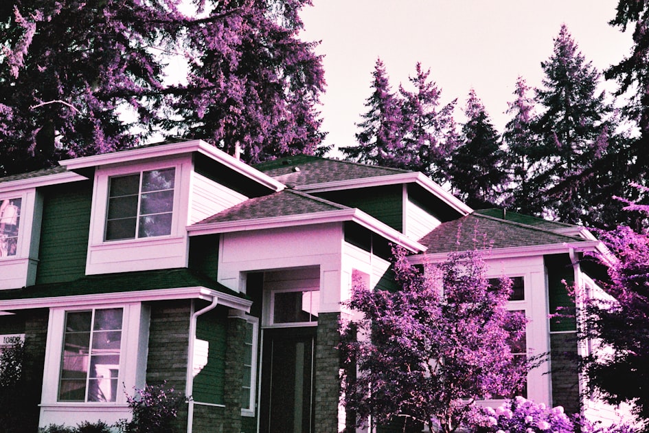 Lead Generation Strategies for Realtors